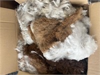 Raw Alpaca Fibre - from this year