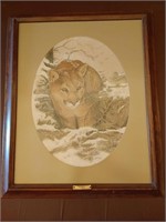 Mountain Lion Picture