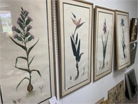 4 FRAMED SIGNED & NUMBERED DAN MITRA BOTANICAL