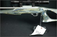 Ruger 1022 SS