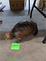 Mounted Turtle - Missing Head