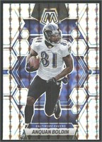 Shiny Parallel Anquan Boldin
