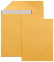 250-Pk Basics 9"x12" Catalog Mailing Envelopes,