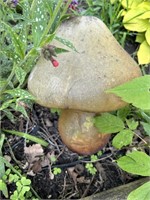 Mushroom Garden / Lawn Art