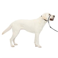 PetSafe Gentle Leader No-Pull Dog Headcollar -