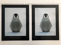 B-R-R-R-R-R-R! Konrad Wothe Double Penguin Print P