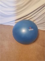 Wacces Exercise Ball