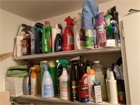 Contents of 2 shelves in laundry room