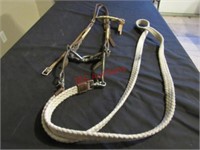 Leather Head Stall with Bit and Cotton Reins