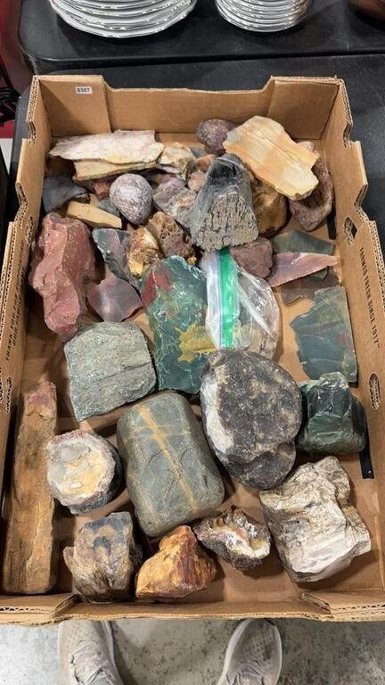 BOX OF PETRIFIED WOOD, ROCKS, GEODES, SLATE &