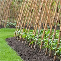 Cambaverd 8ft Bamboo Stakes (4pcs)