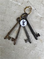 (4) Skeleton Keys