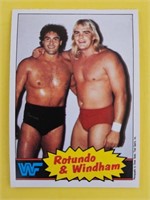 Rotundo & Windham 1985 O-Pee-Chee #18
