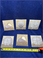 Set of 6 Seashells
