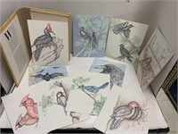 Bird Drawings Collection