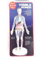 Skilcraft Visible Woman anatomy kit