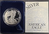2001-W PROOF AMERICAN SILVER EAGLE OGP