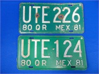 Matching Pair Of 1981 Mexican License Plates