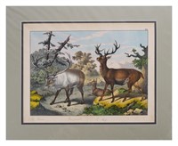 19TH C. DEER STAG ENGRAVING VON SCHUBERT