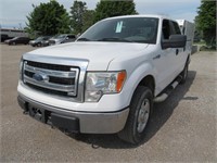 2013 FORD F150 234406 KMS