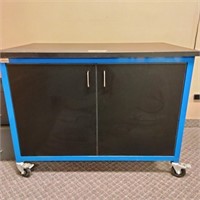 Lab Storage Cabinet 48" x 36" x 30"    (R# 212)