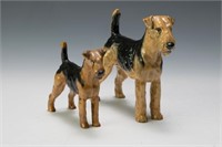 Two Royal Doulton Airedale Terriers