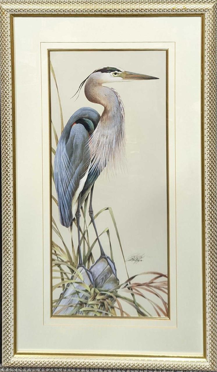 Framed S&N Art Lamay Heron Print