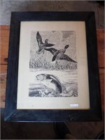 Wildlife Pen & Ink Drawing - Champion 1966