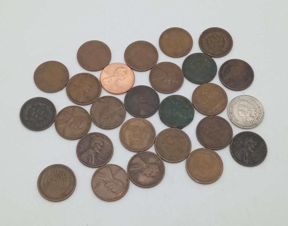 Mixed Penny Lot Indian Head & Wheat pennies
