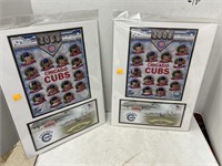 Chicago Cubs 2008 Team Composite