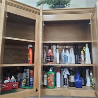 Cleaning Chemicals-Junk Drawer Items-More