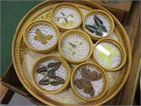 Butterfly Coasters, Trinket Box