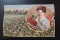 1920 Postcard Rockford Seed Farms Watermelon WV