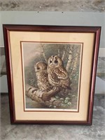 Framed Owl Picture