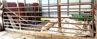 18'x4' HD livestock gate
