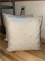 Throw pillows (2)