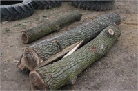 (3) Black Walnut Logs