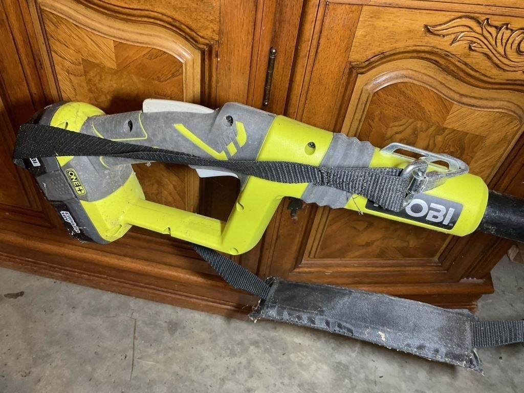 RYOBI BATTERY POWERED POLE CHAIN SAW