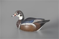 Wood Duck