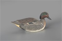 Green-Winged Teal Drake