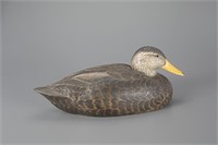 Black Duck