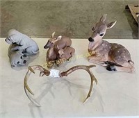 Deer, Dogs, & Antlers