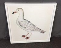 Ornis Full Deep Framed Gull Print 31x31 $1350