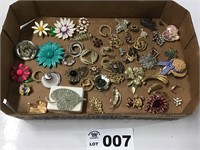 JEWERLY( brooches)