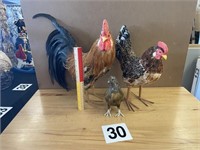 LOT OF 3 FOWLS - 2 ROOSTERS & 1 HEN