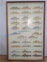 framed Fish identification poster
