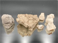 Limestone Specimens