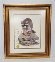 The Tennessee Racoon Framed & Signed Print