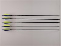 5pk VitalSeeker Arrows