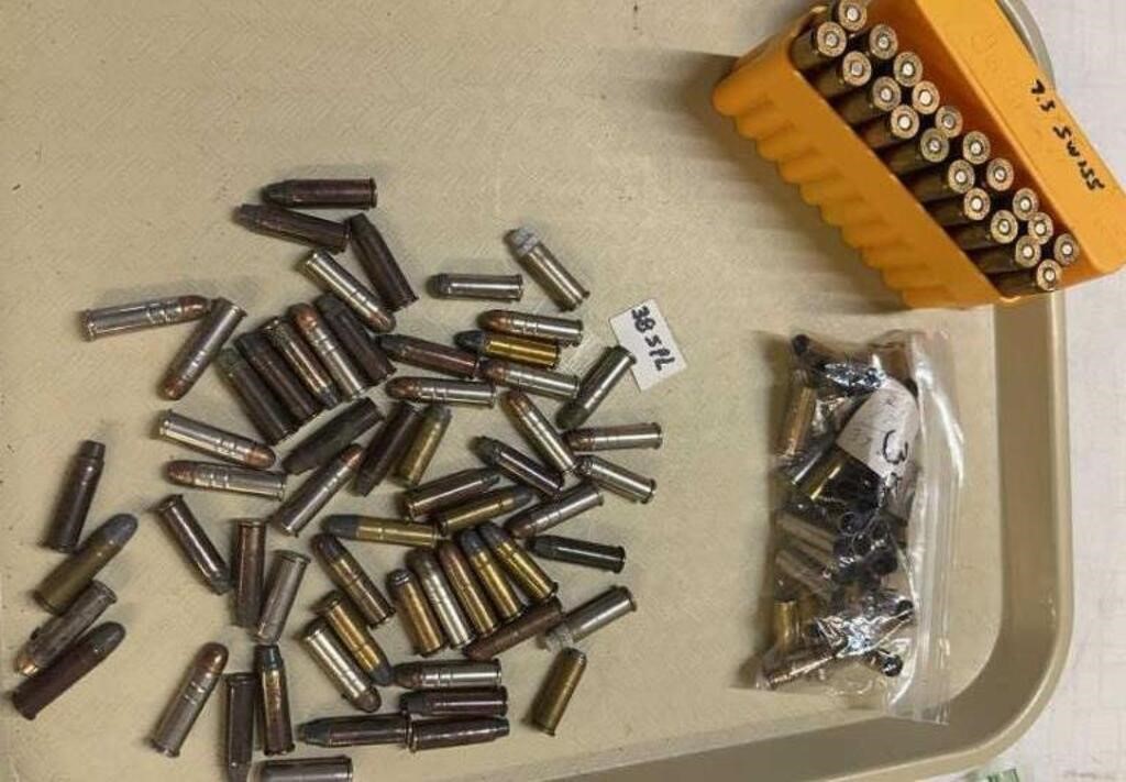 58 Rounds of Ammo 7.5 Swiss & 38 Special Bag